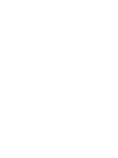 Vixen