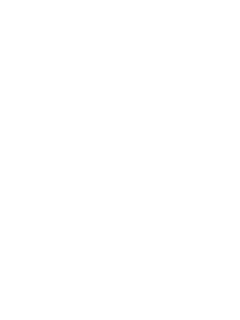 UsePOV